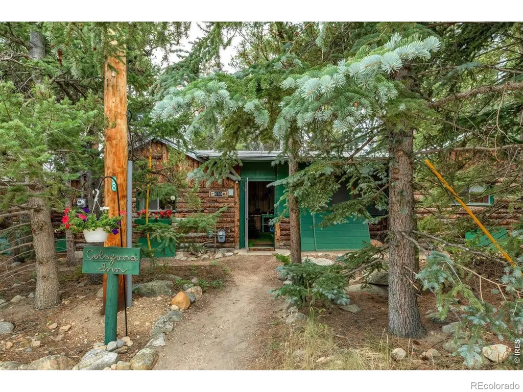 650 W Pine Street Nederland CO 80466