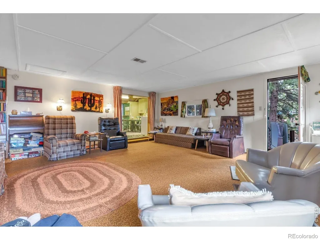 650 W Pine Street Nederland CO 80466