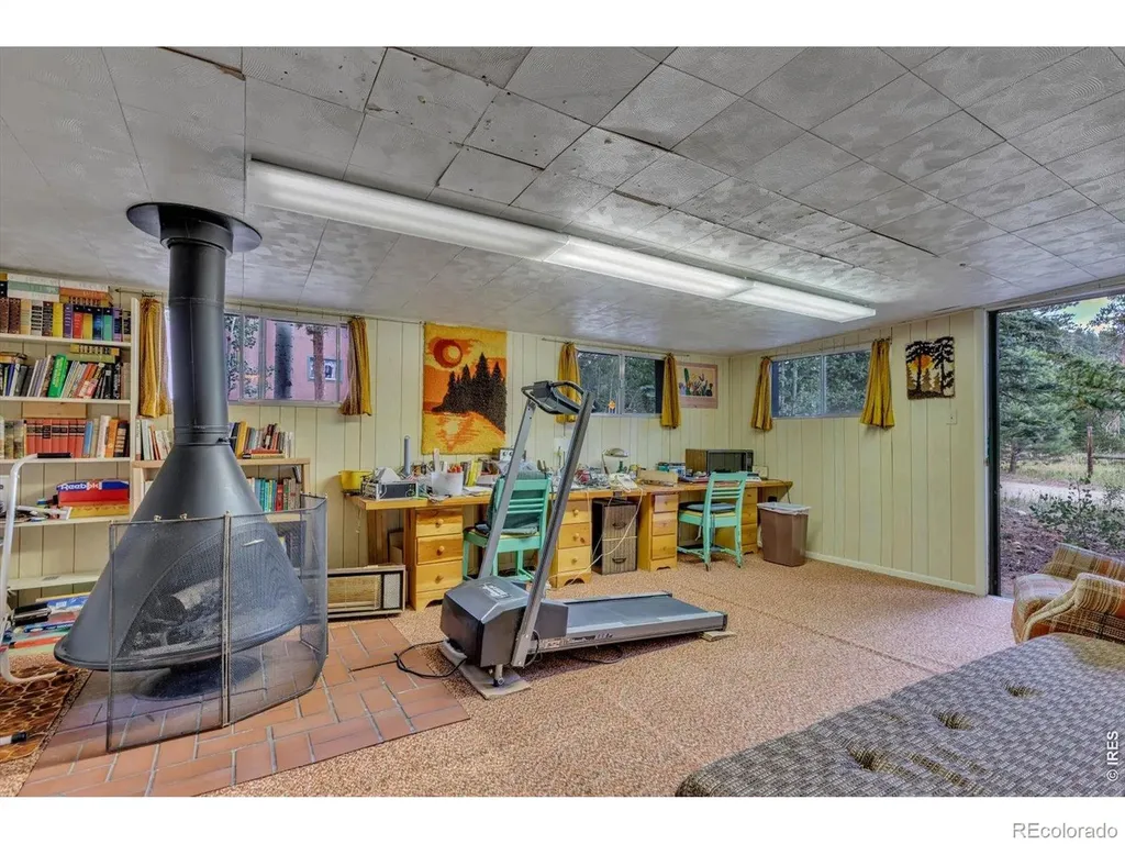 650 W Pine Street Nederland CO 80466