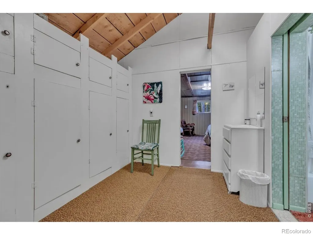 650 W Pine Street Nederland CO 80466