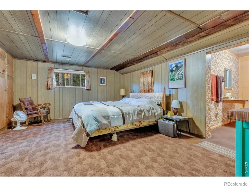 650 W Pine Street Nederland CO 80466