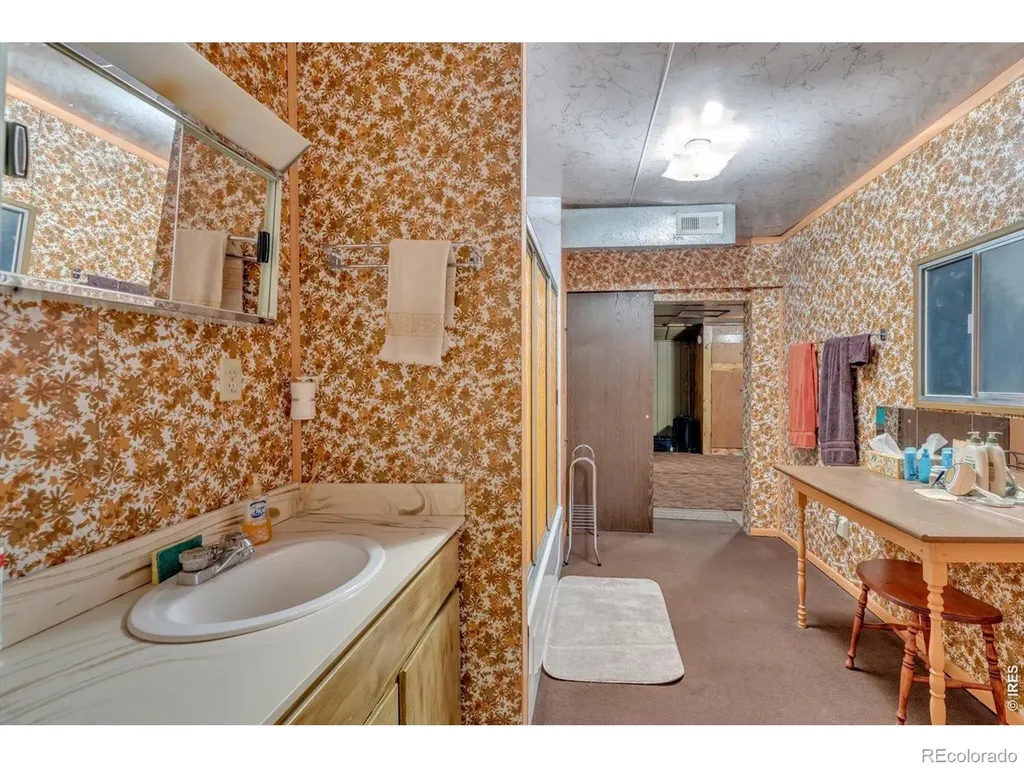 650 W Pine Street Nederland CO 80466