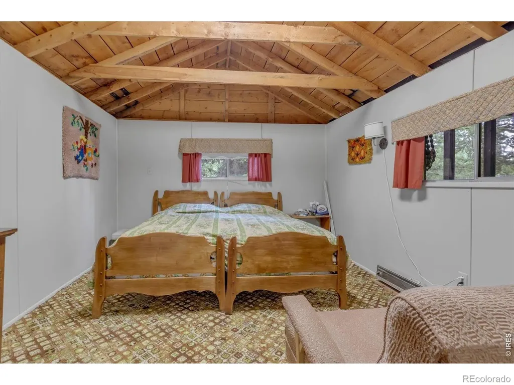 650 W Pine Street Nederland CO 80466