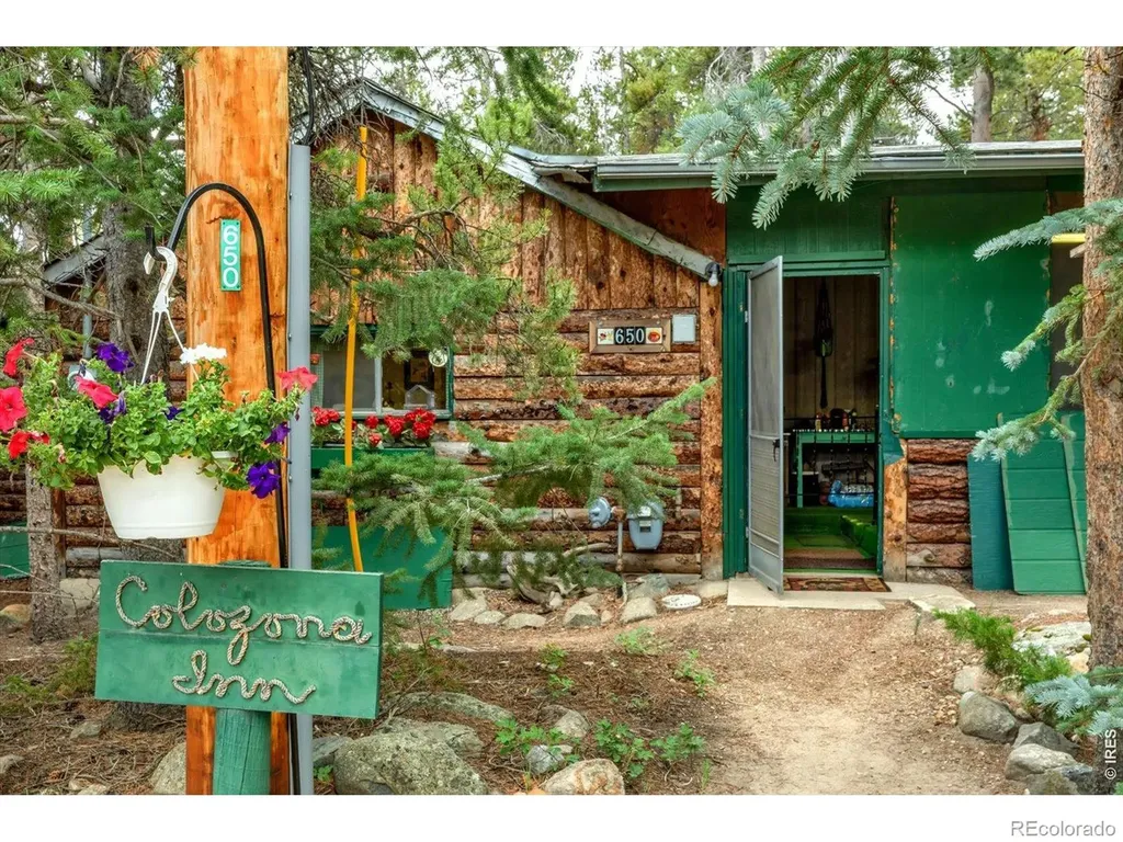650 W Pine Street Nederland CO 80466