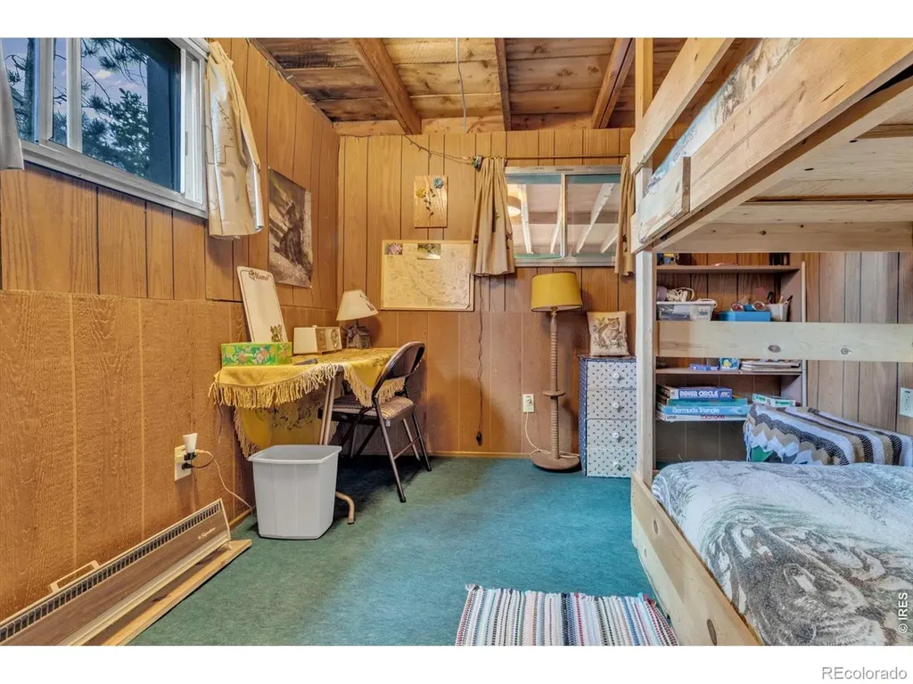 650 W Pine Street Nederland CO 80466