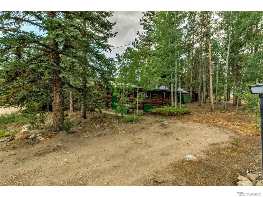 650 W Pine Street Nederland CO 80466