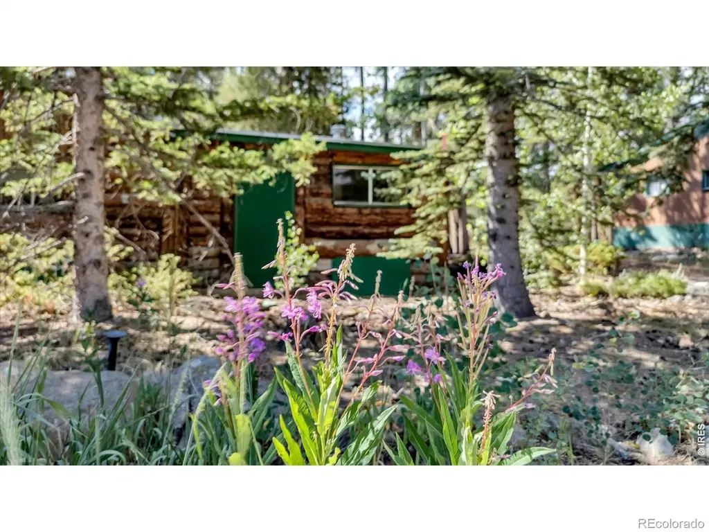 650 W Pine Street Nederland CO 80466