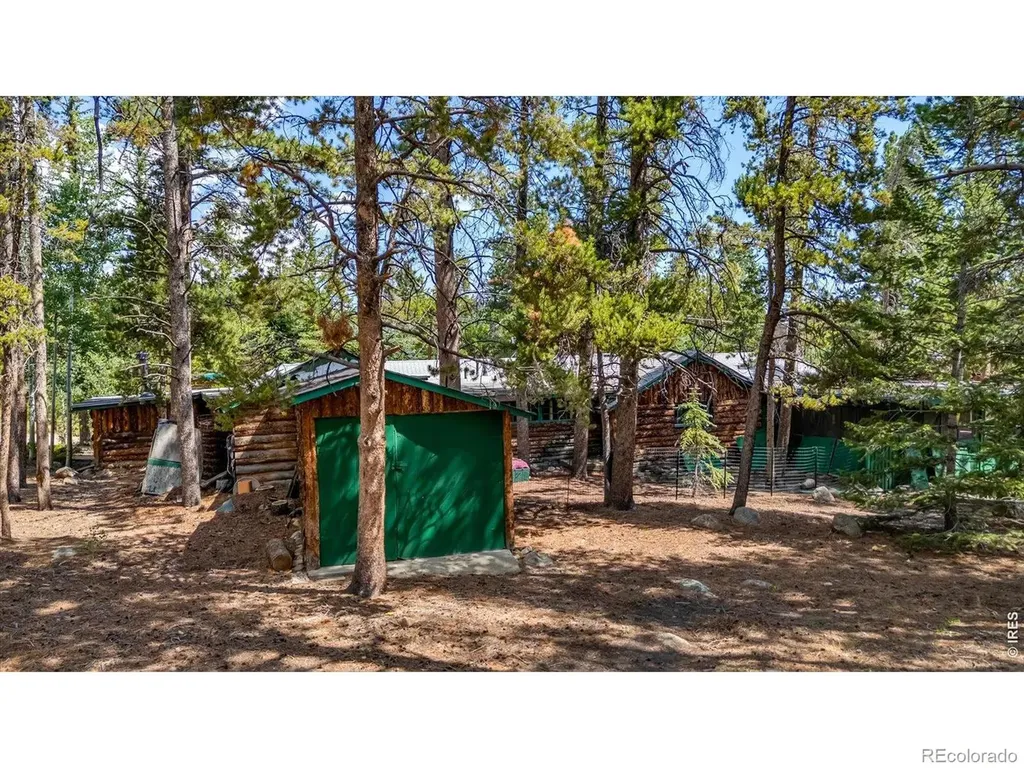 650 W Pine Street Nederland CO 80466