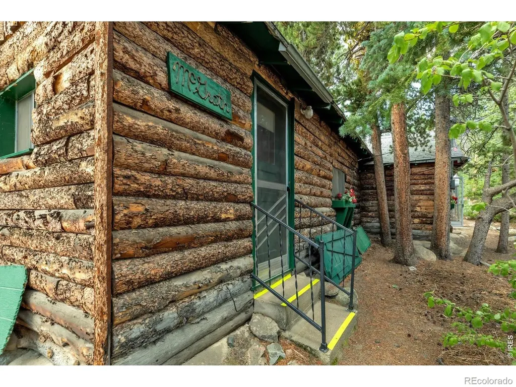 650 W Pine Street Nederland CO 80466