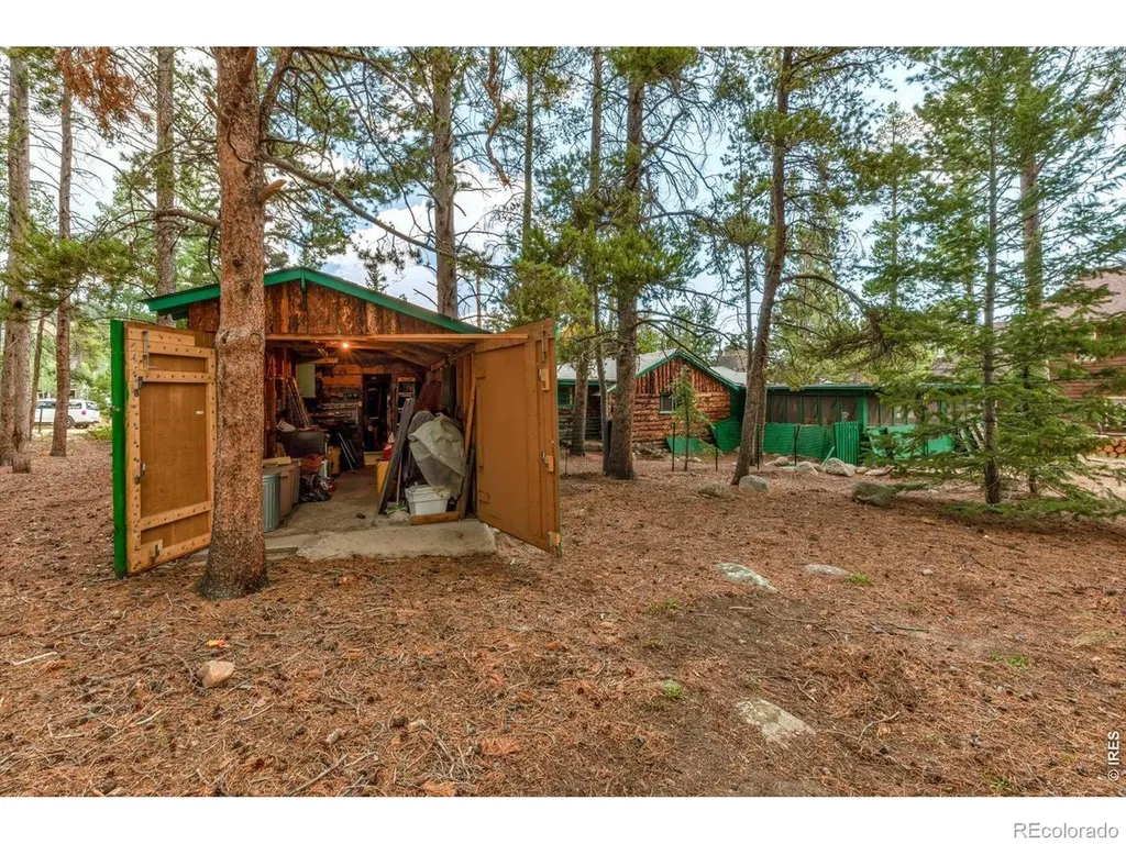650 W Pine Street Nederland CO 80466