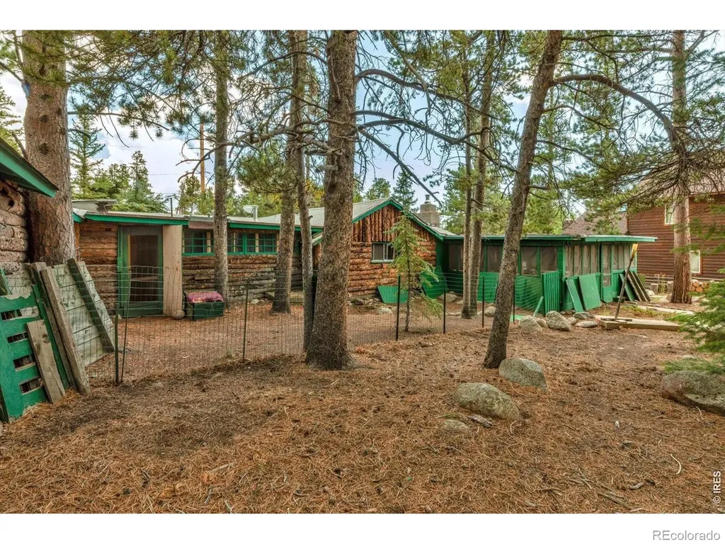 650 W Pine Street Nederland CO 80466