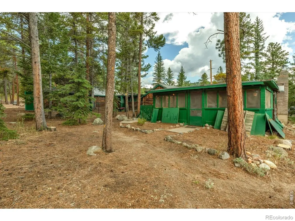 650 W Pine Street Nederland CO 80466