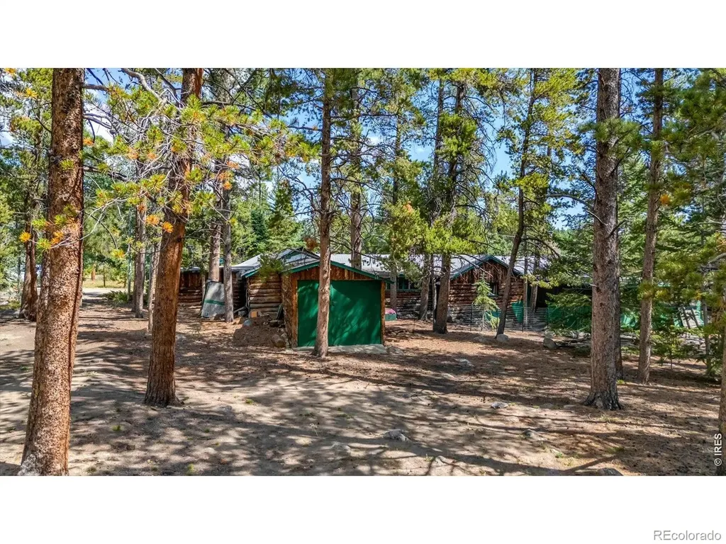 650 W Pine Street Nederland CO 80466