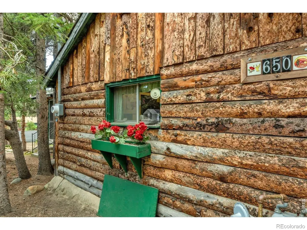 650 W Pine Street Nederland CO 80466