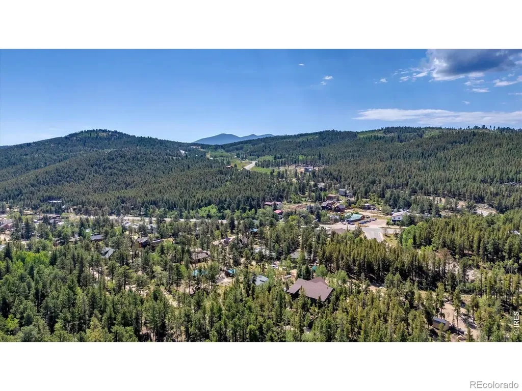 650 W Pine Street Nederland CO 80466