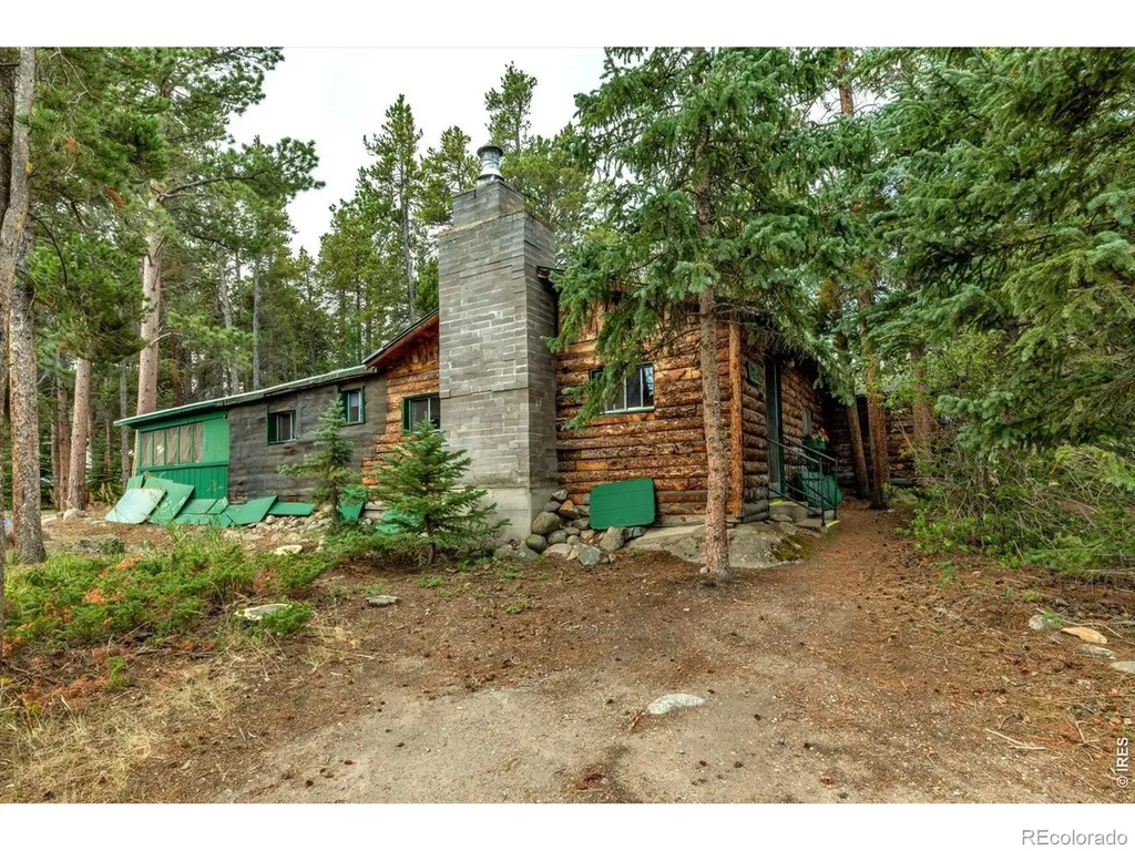 650 W Pine Street Nederland CO 80466