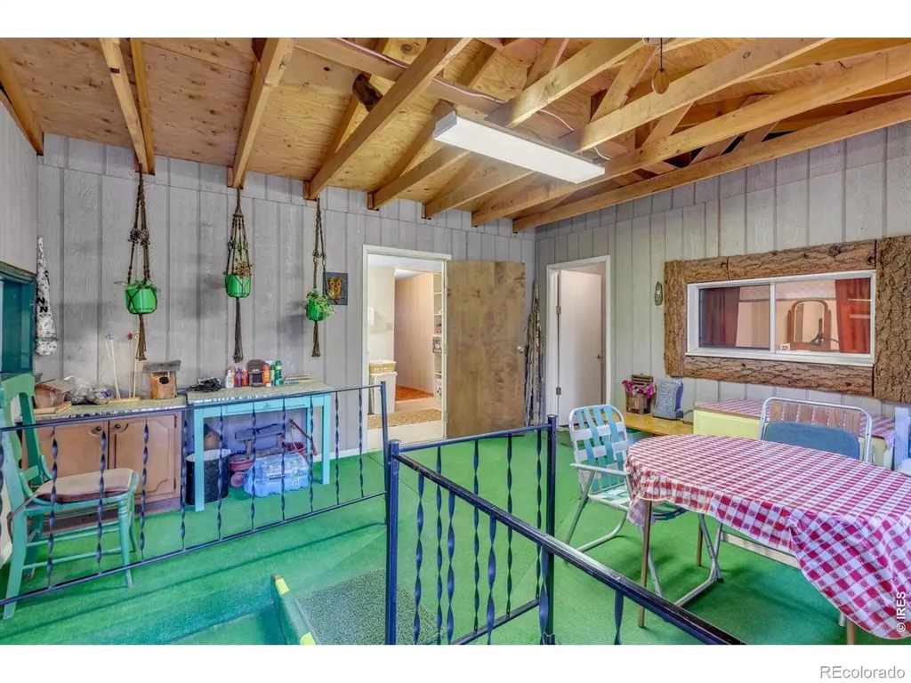 650 W Pine Street Nederland CO 80466