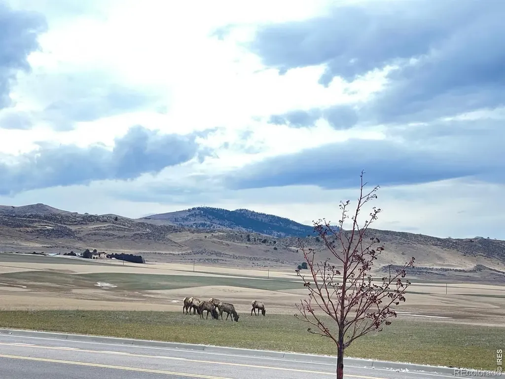 4985 Goya Court Loveland CO 80538