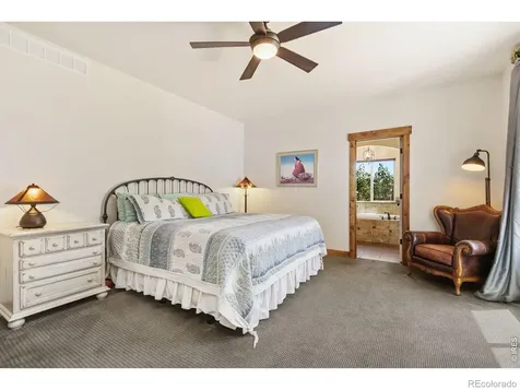7250 Lakeview Court Windsor CO 80550