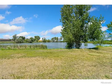7250 Lakeview Court Windsor CO 80550