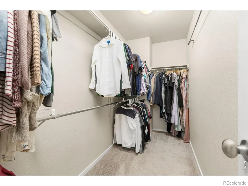3118 Carney Street Loveland CO 80538