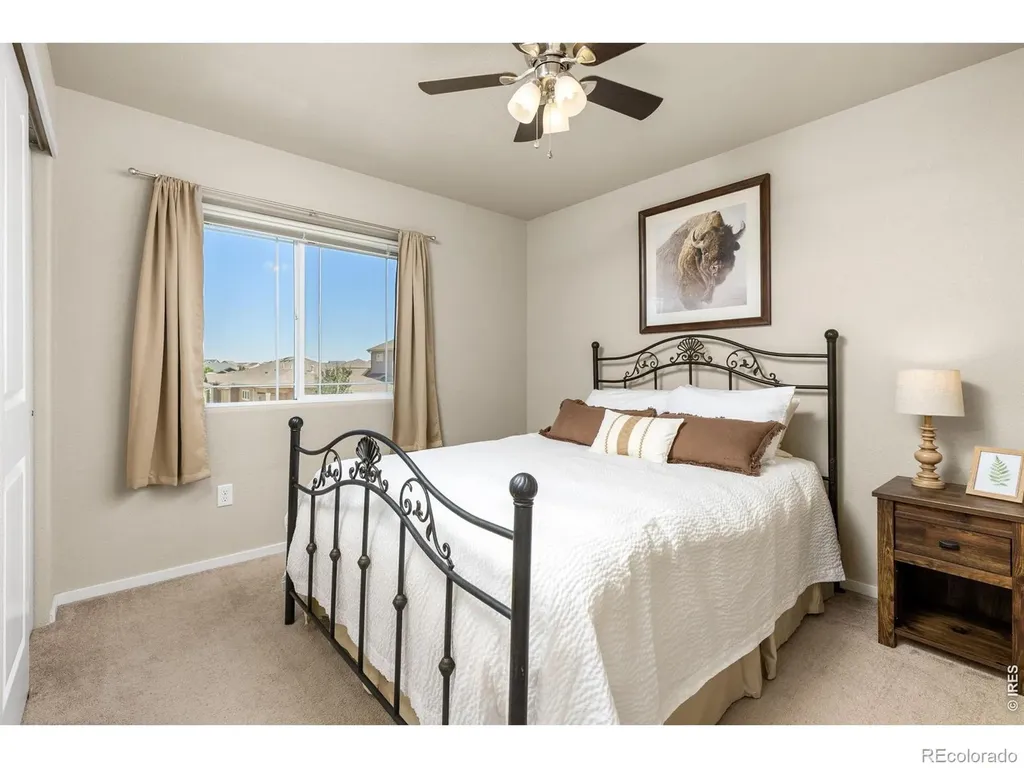 3118 Carney Street Loveland CO 80538
