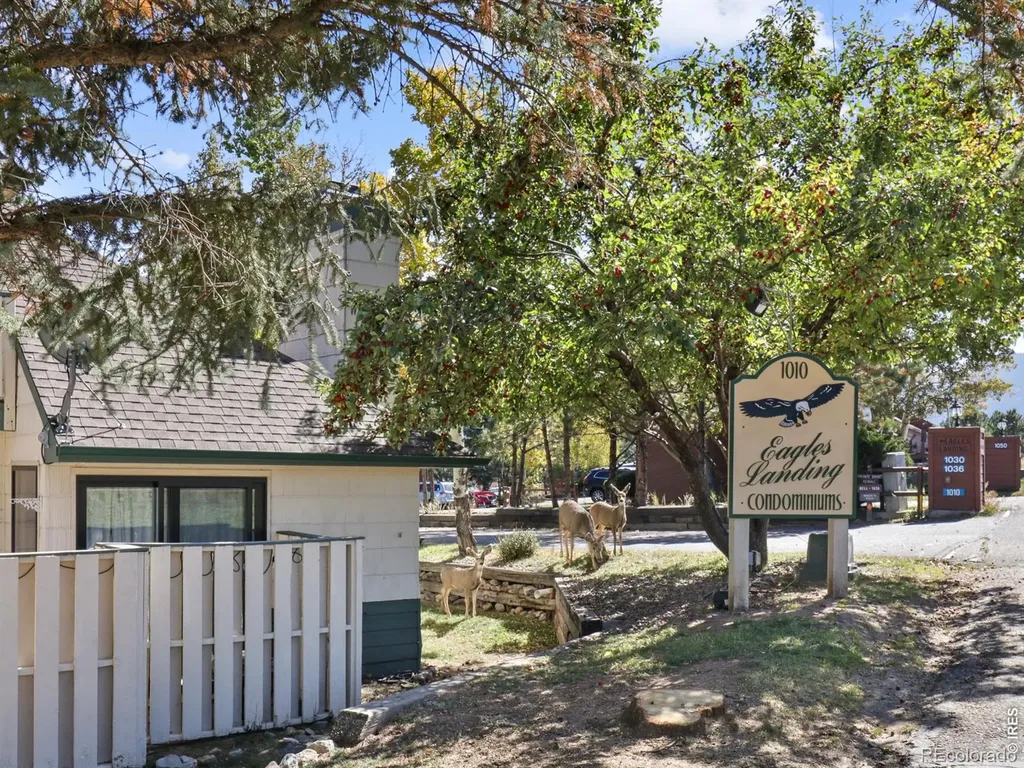 1010 S Saint Vrain Avenue Estes Park CO 80517