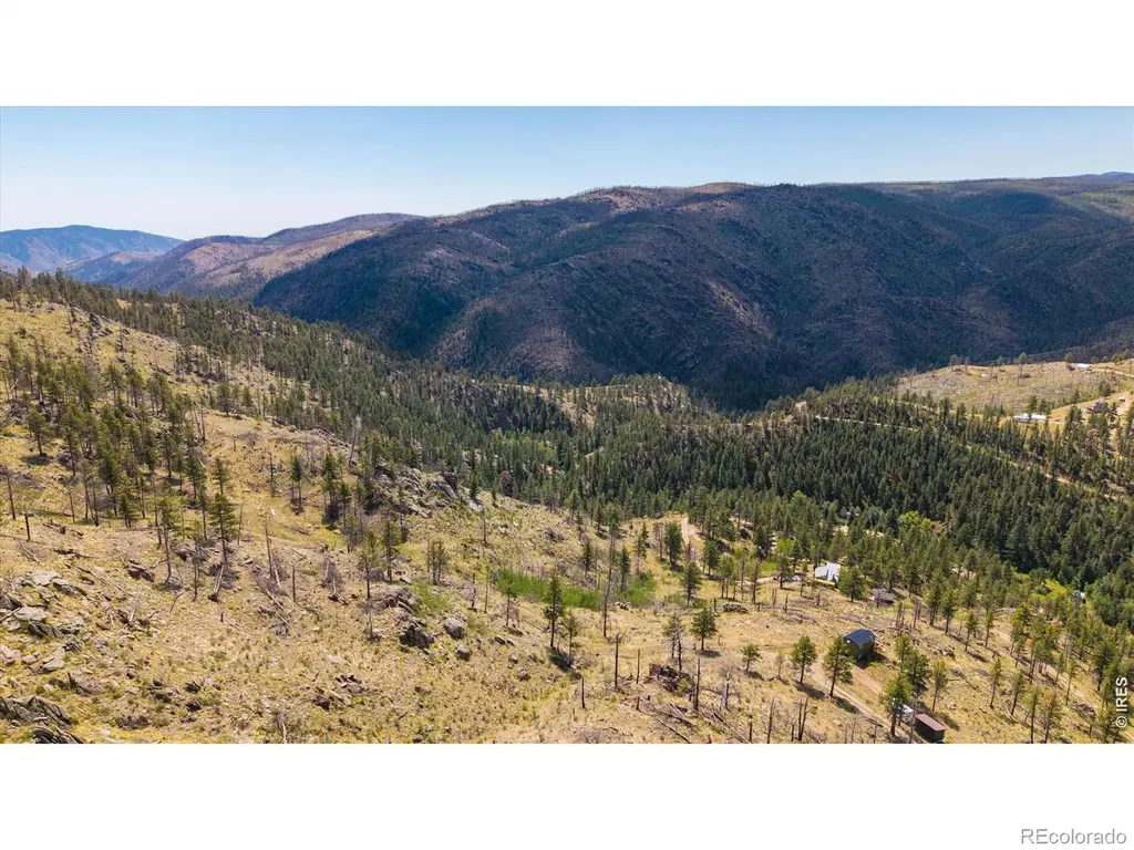 693 Cougar Drive Bellvue CO 80512
