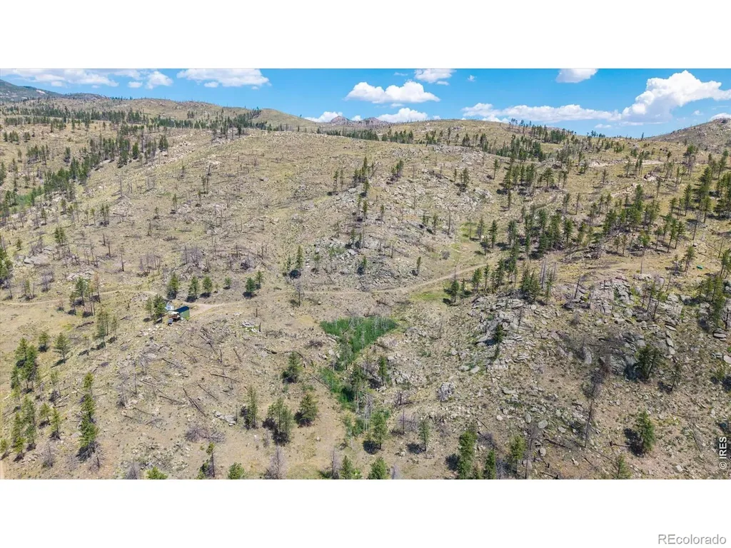 693 Cougar Drive Bellvue CO 80512