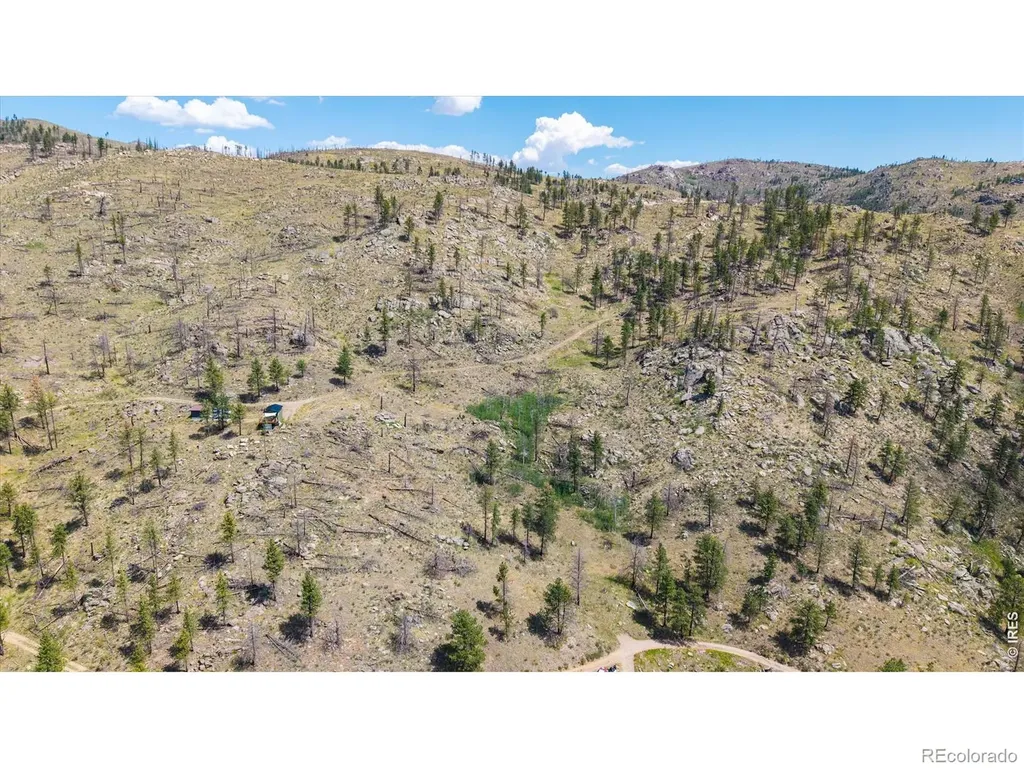 693 Cougar Drive Bellvue CO 80512