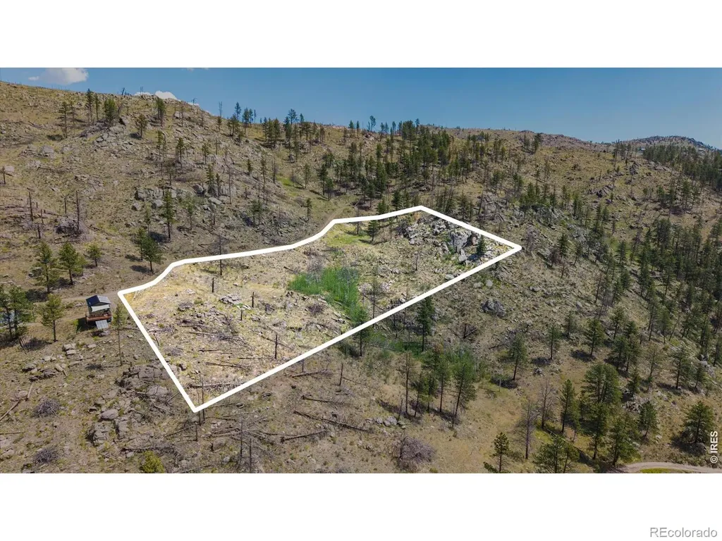693 Cougar Drive Bellvue CO 80512