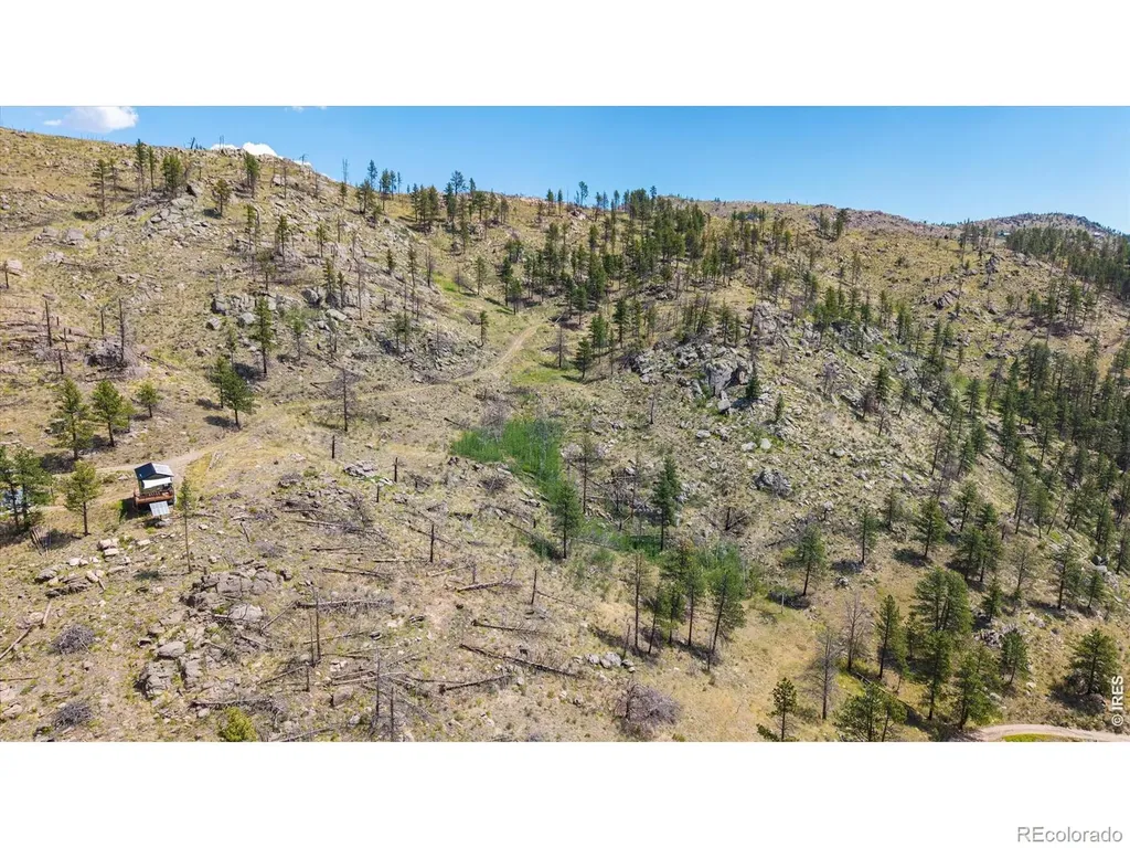 693 Cougar Drive Bellvue CO 80512
