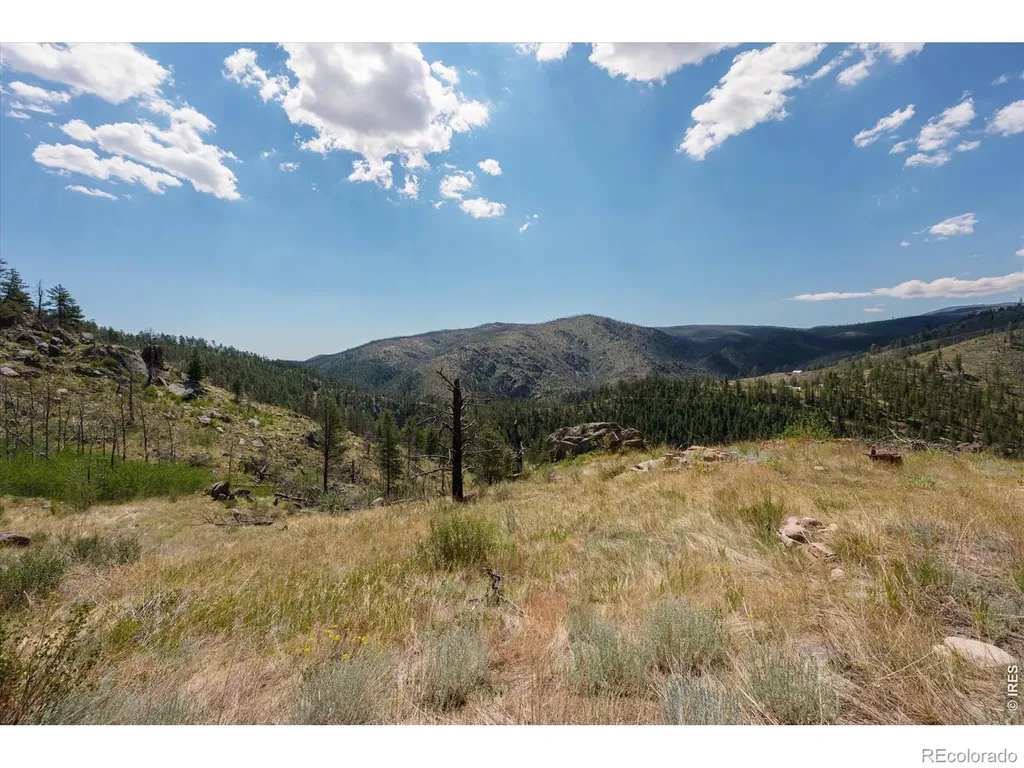 693 Cougar Drive Bellvue CO 80512