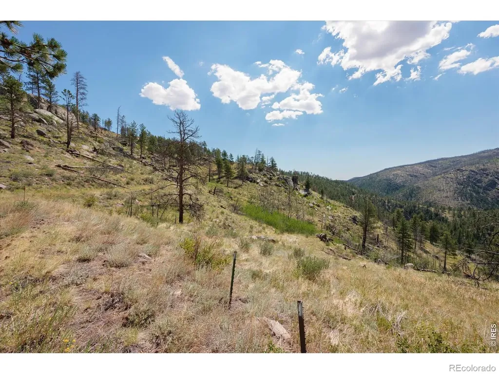 693 Cougar Drive Bellvue CO 80512