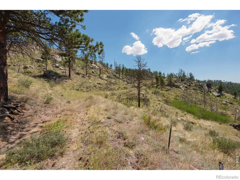 693 Cougar Drive Bellvue CO 80512