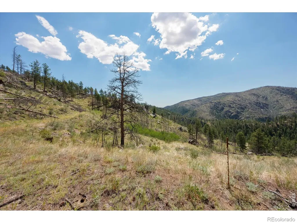 693 Cougar Drive Bellvue CO 80512