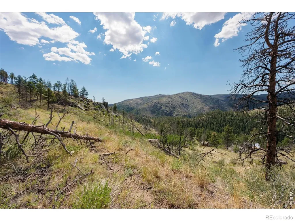 693 Cougar Drive Bellvue CO 80512