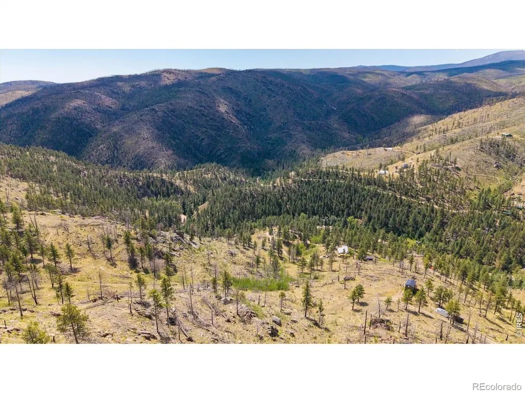 693 Cougar Drive Bellvue CO 80512
