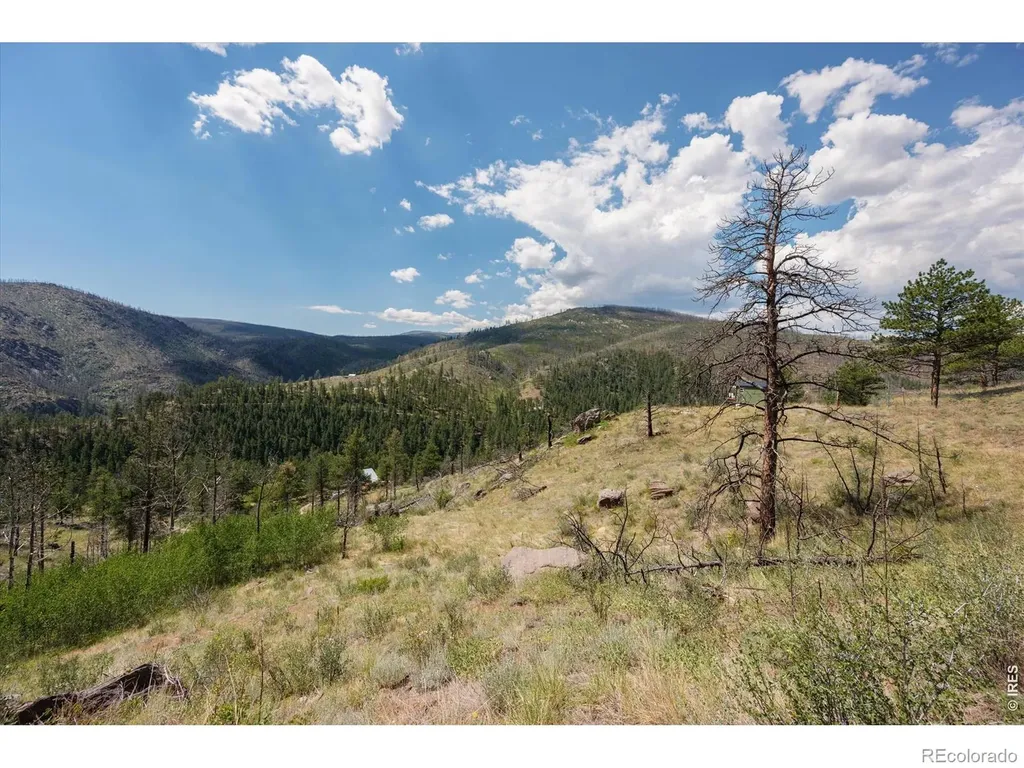 693 Cougar Drive Bellvue CO 80512