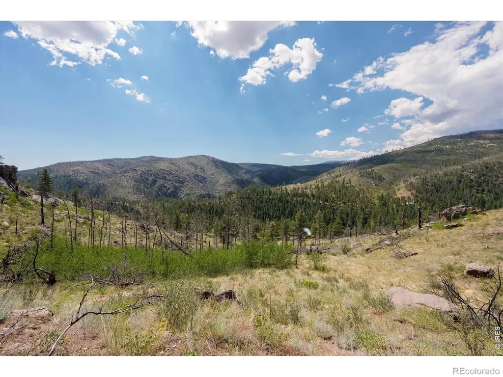693 Cougar Drive Bellvue CO 80512