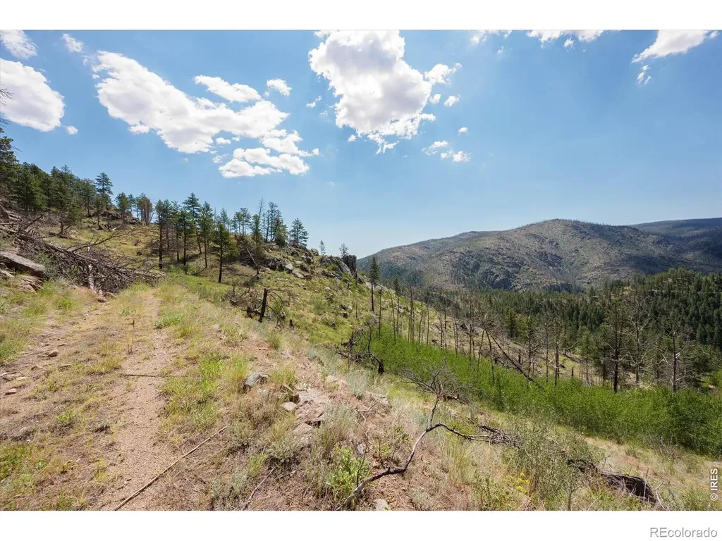 693 Cougar Drive Bellvue CO 80512