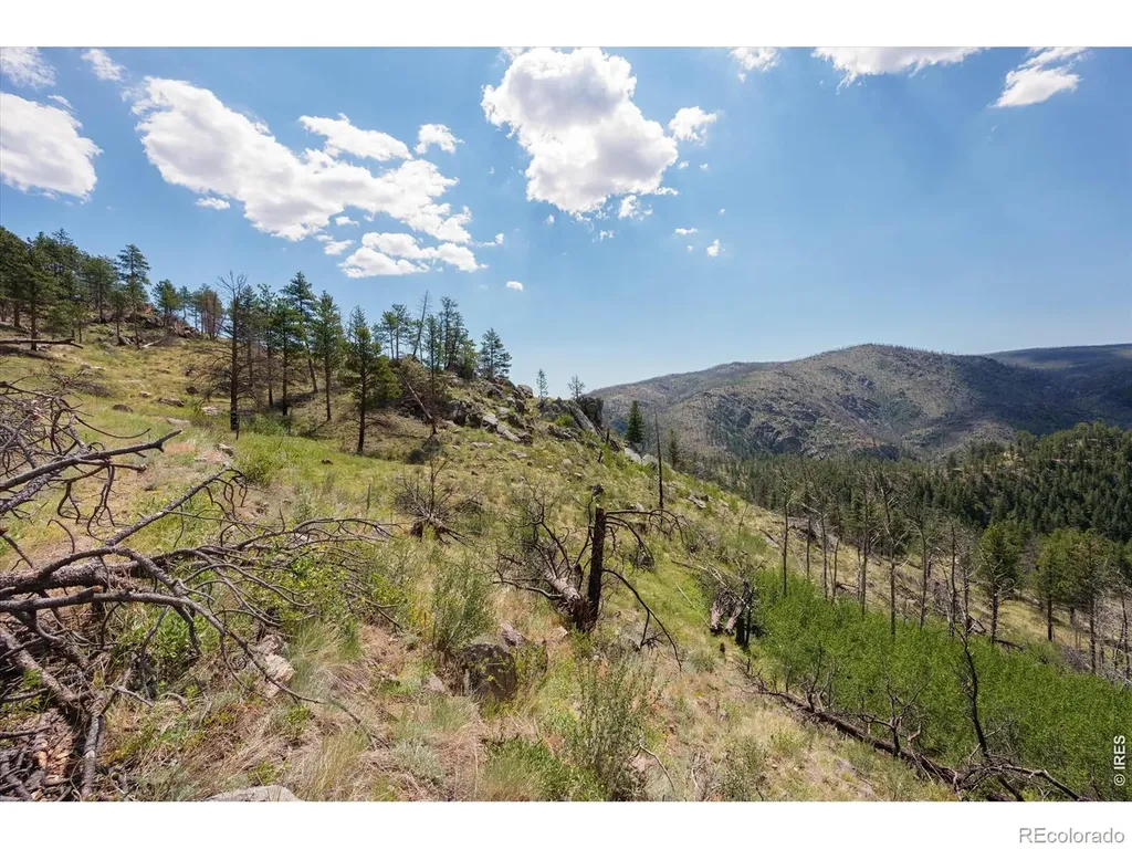 693 Cougar Drive Bellvue CO 80512