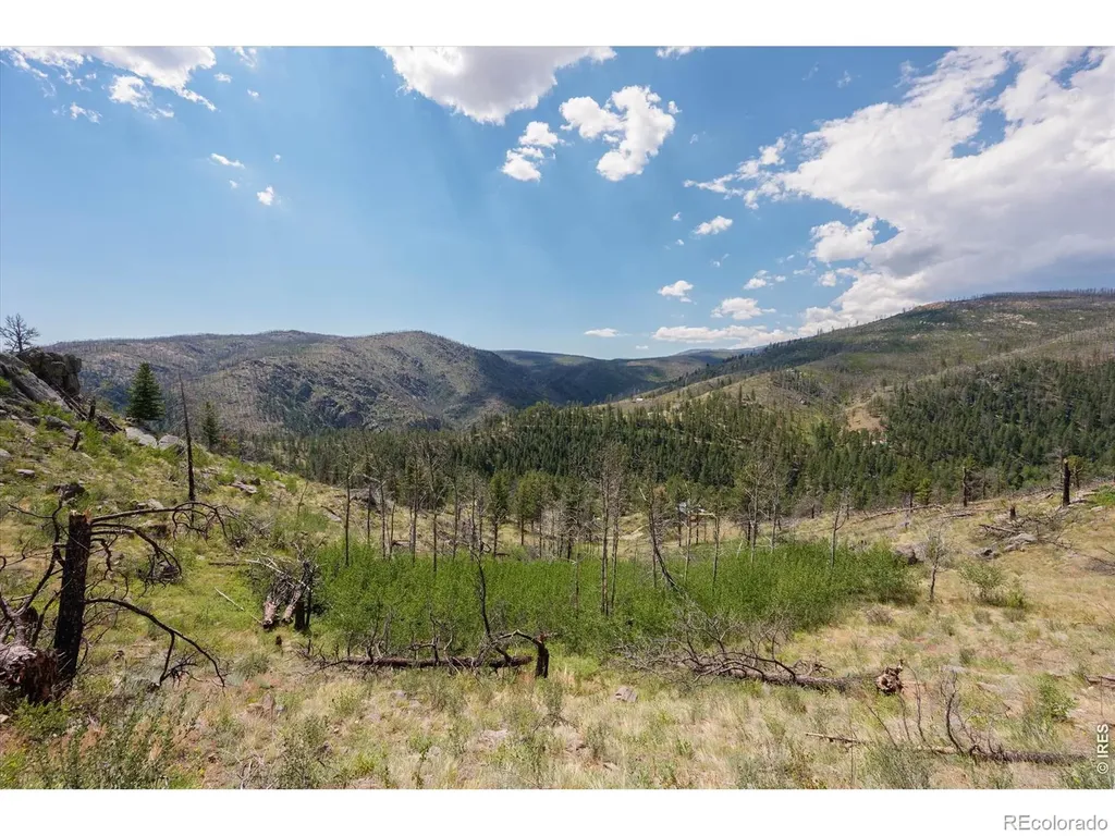 693 Cougar Drive Bellvue CO 80512