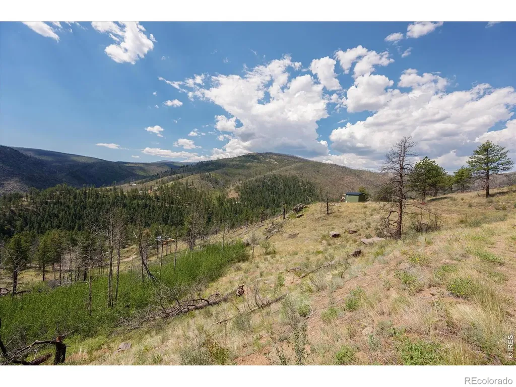 693 Cougar Drive Bellvue CO 80512