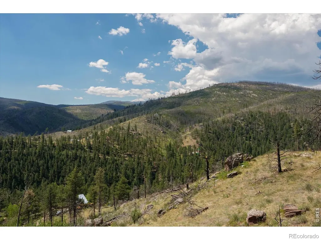 693 Cougar Drive Bellvue CO 80512