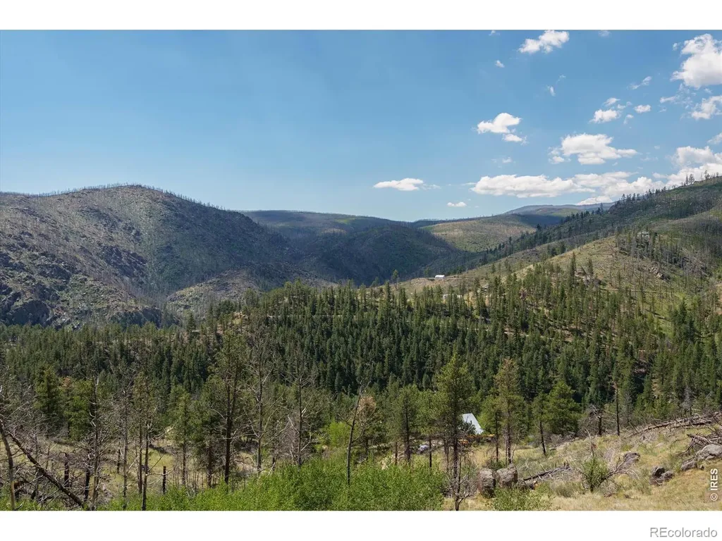 693 Cougar Drive Bellvue CO 80512
