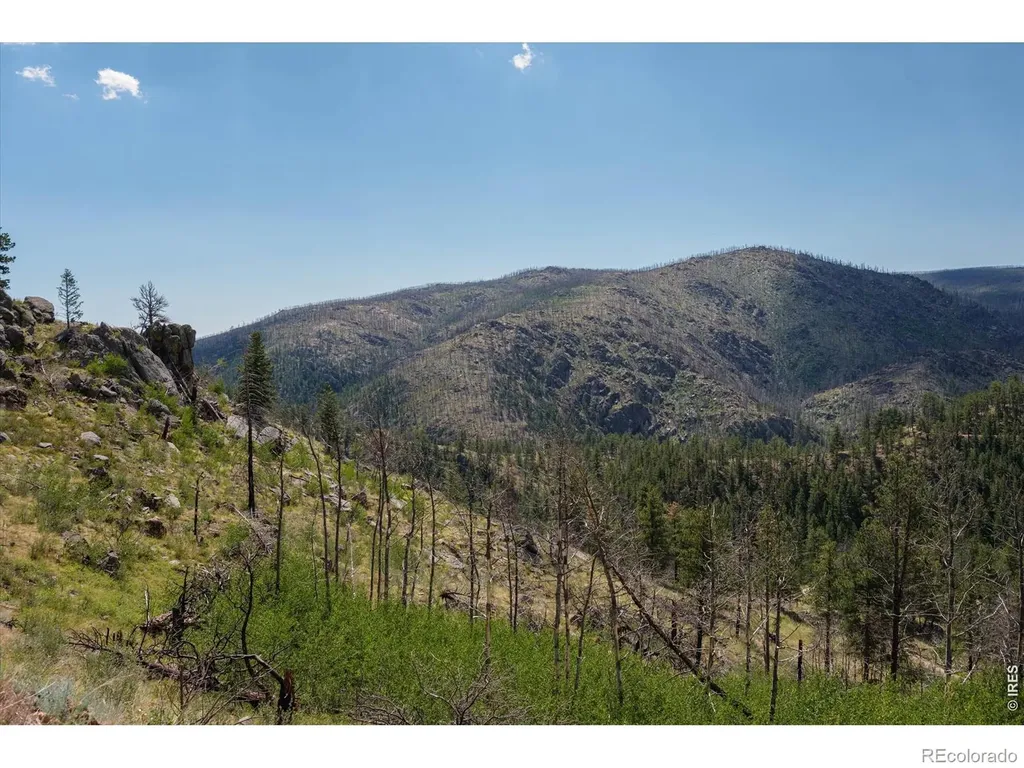 693 Cougar Drive Bellvue CO 80512