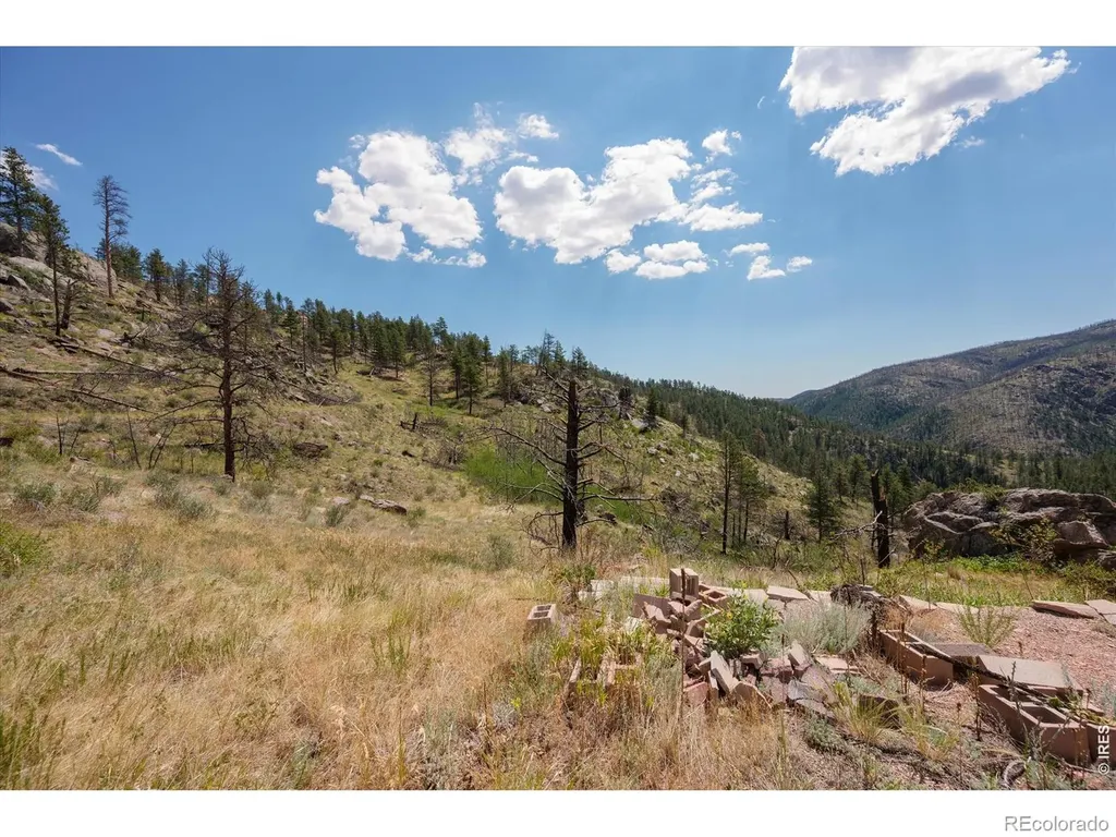 693 Cougar Drive Bellvue CO 80512