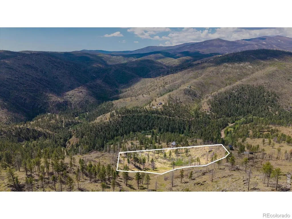 693 Cougar Drive Bellvue CO 80512