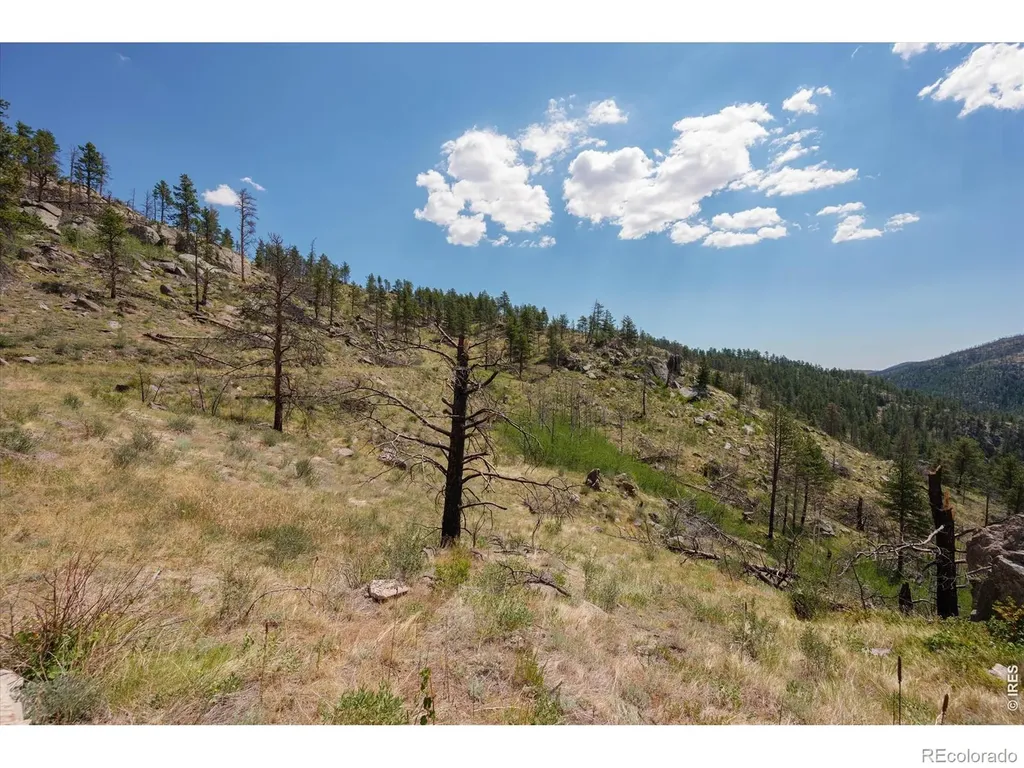 693 Cougar Drive Bellvue CO 80512